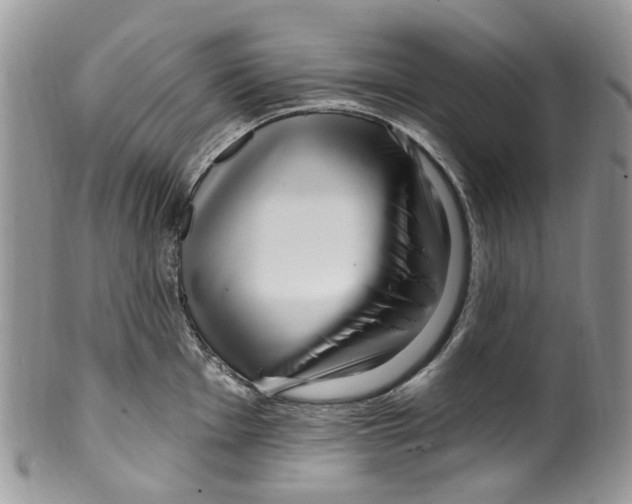 X0000099581001200806131314