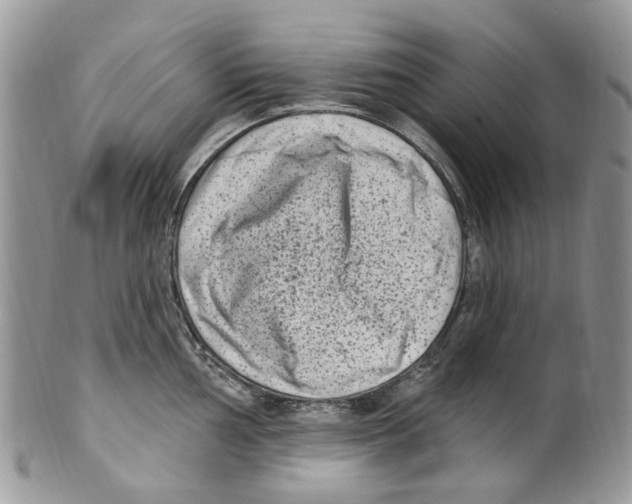 X0000099581002200806131314