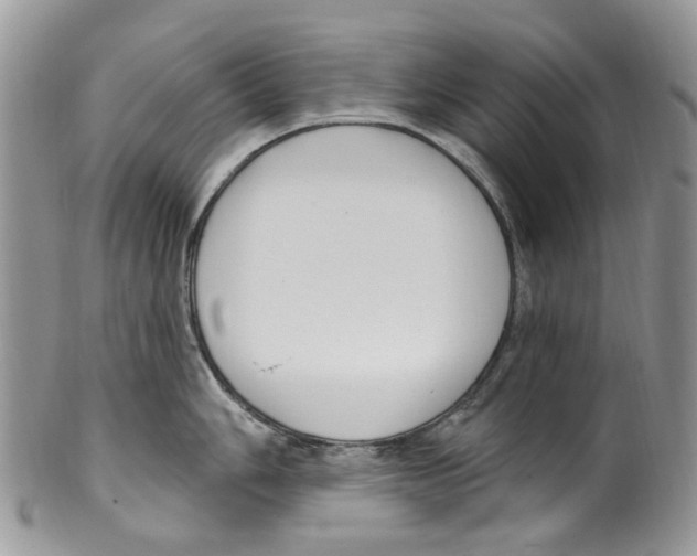 X0000099581006200806131314