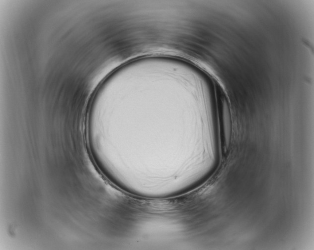 X0000099581007200806131314