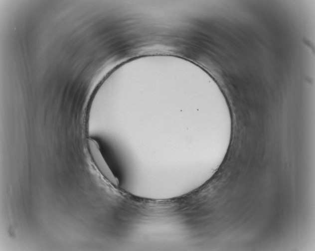 X0000099581008200806131314