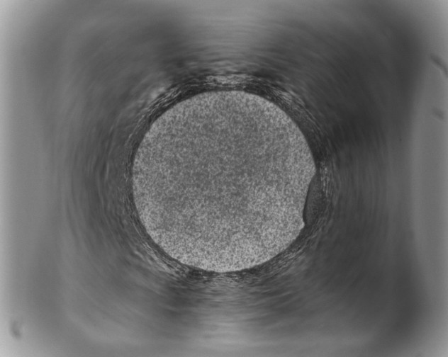 X0000099581009200806131313