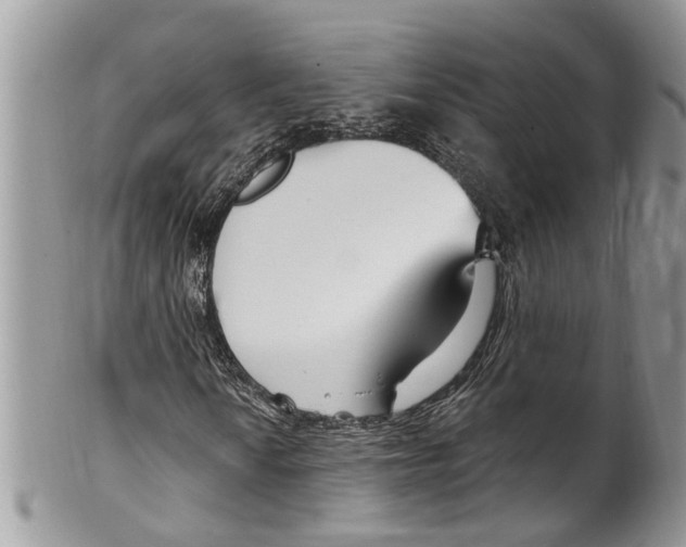 X0000099581010200806131313