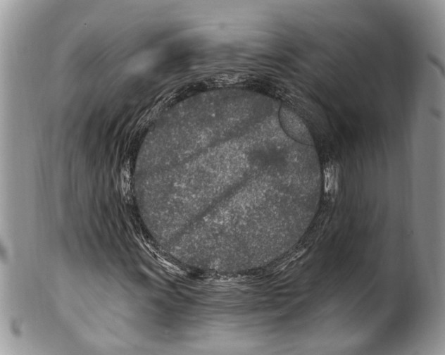 X0000099581011200806131313