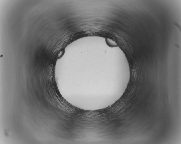 X0000099581012200806131313