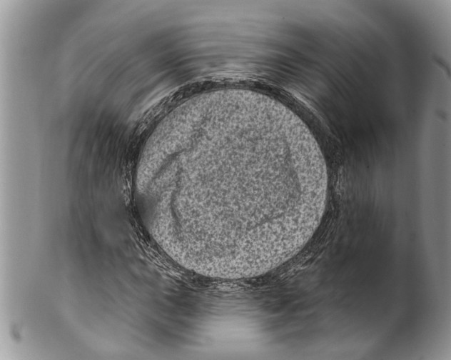 X0000099581015200806131313