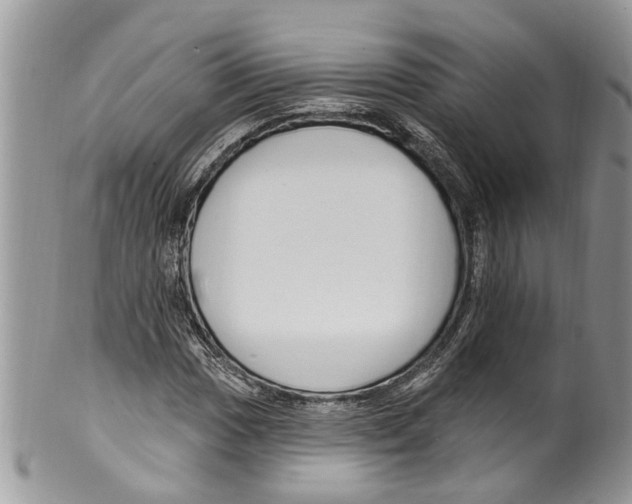 X0000099581017200806131313