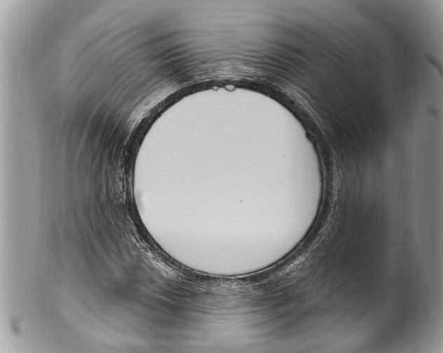 X0000099581018200806131313