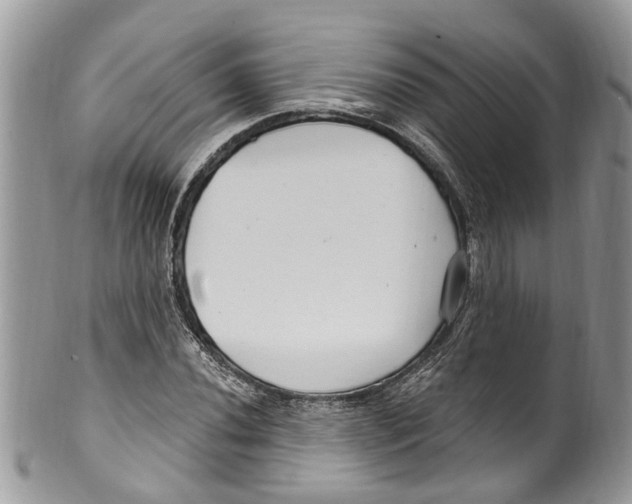 X0000099581020200806131313