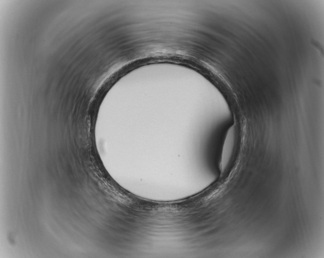 X0000099581021200806131313