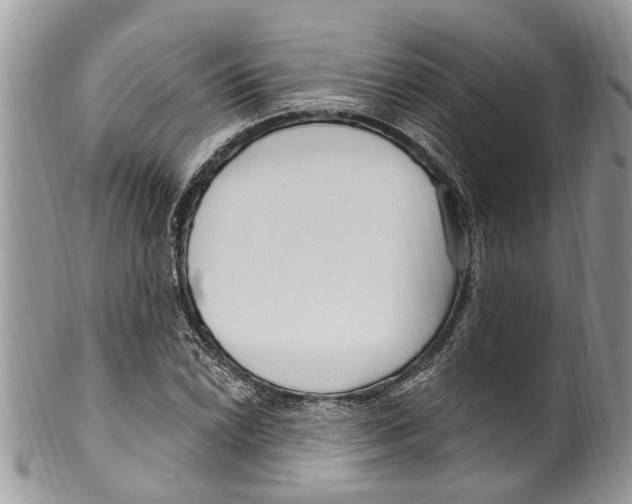 X0000099581022200806131313