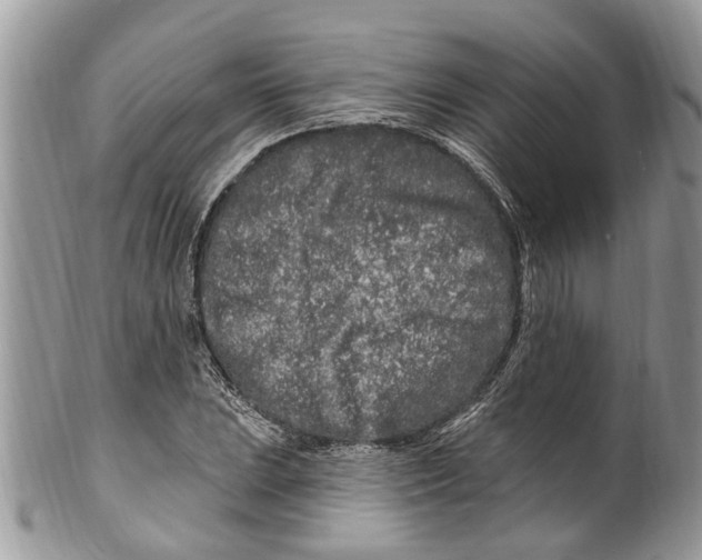 X0000099581023200806131313