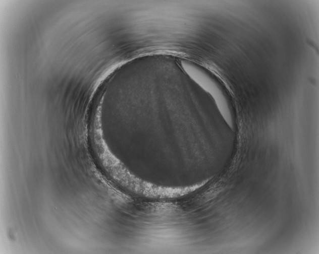 X0000099581024200806131313