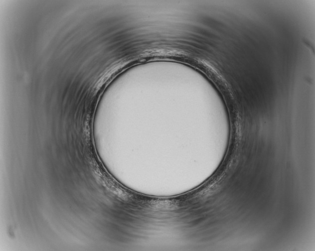 X0000099581025200806131313