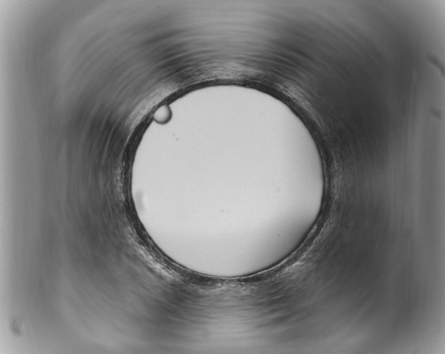 X0000099581026200806131313