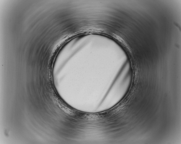 X0000099581027200806131313