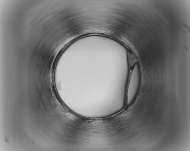 X0000099581028200806131313