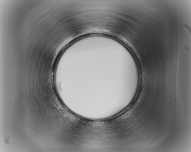 X0000099581029200806131313