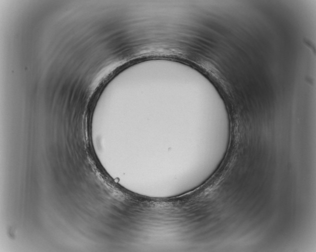 X0000099581030200806131313