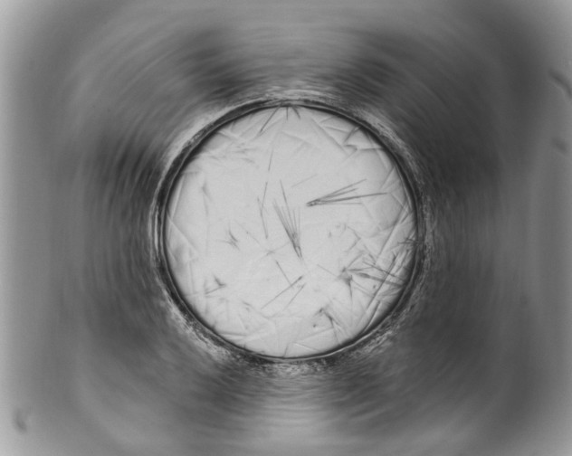 X0000099581032200806131313