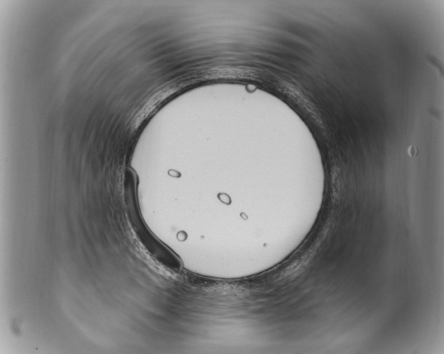 X0000099581033200806131313