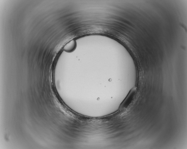 X0000099581034200806131313