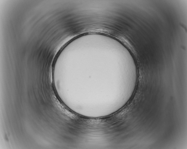 X0000099581036200806131313