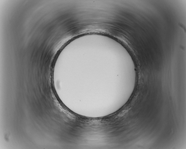 X0000099581038200806131313