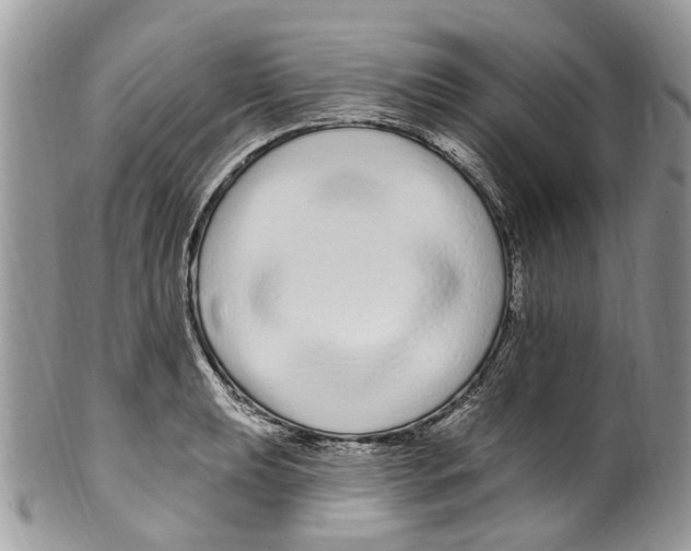 X0000099581039200806131313