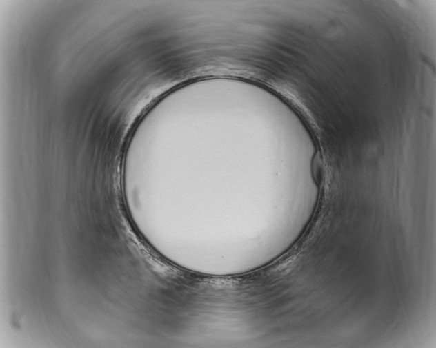 X0000099581040200806131313