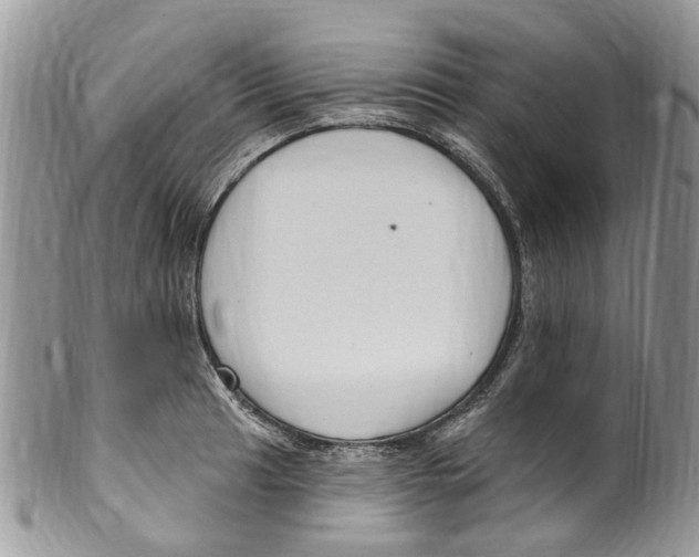 X0000099581041200806131313