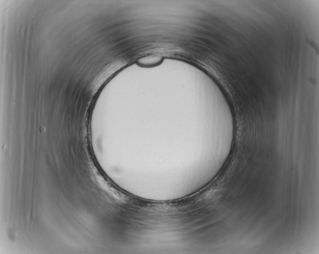 X0000099581042200806131313