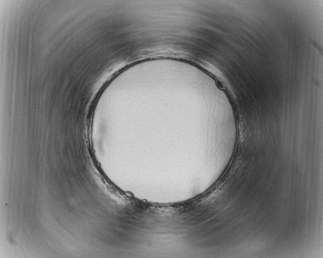 X0000099581043200806131314