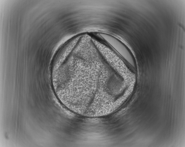 X0000099581045200806131314