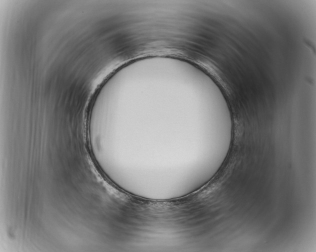 X0000099581046200806131314