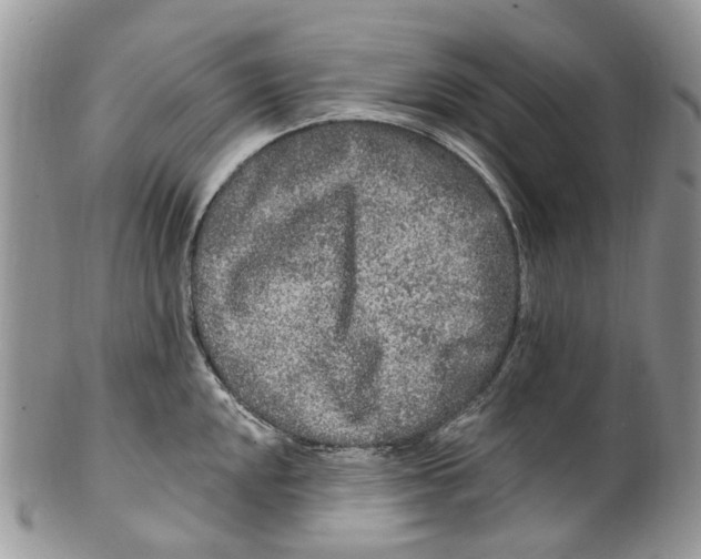 X0000099581048200806131314