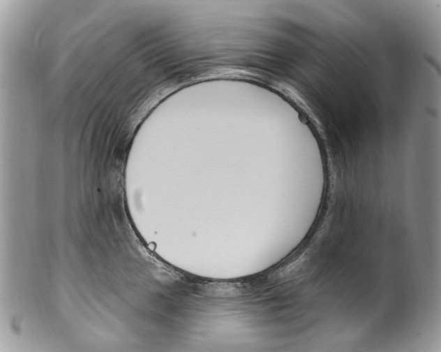 X0000099581049200806131314