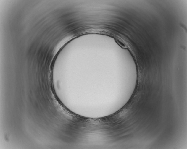 X0000099581050200806131314