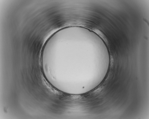 X0000099581052200806131314