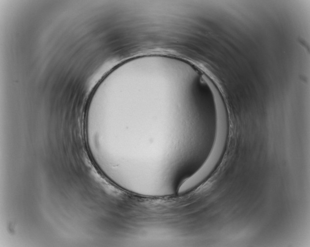 X0000099581054200806131314