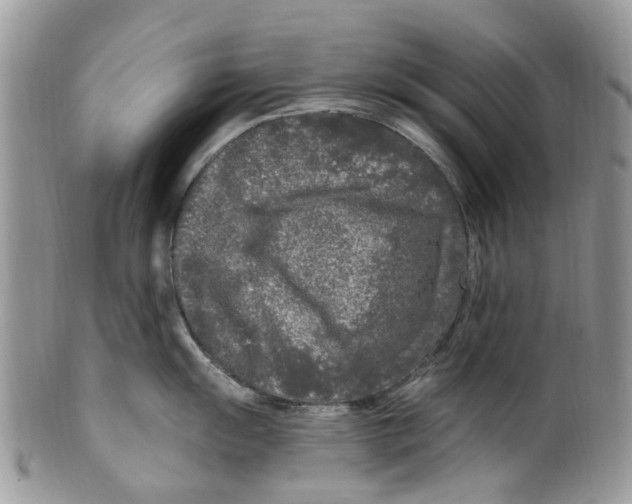 X0000099581055200806131314