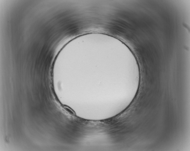 X0000099581056200806131314