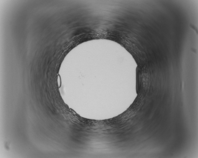 X0000099581057200806131313