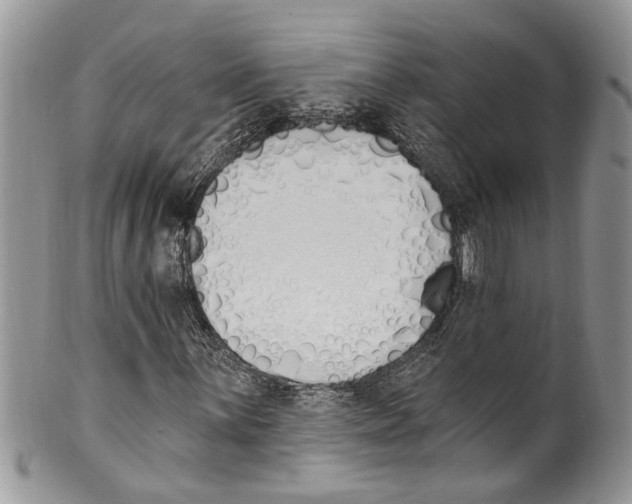 X0000099581059200806131313