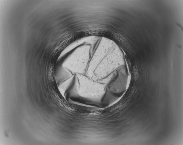 X0000099581060200806131313