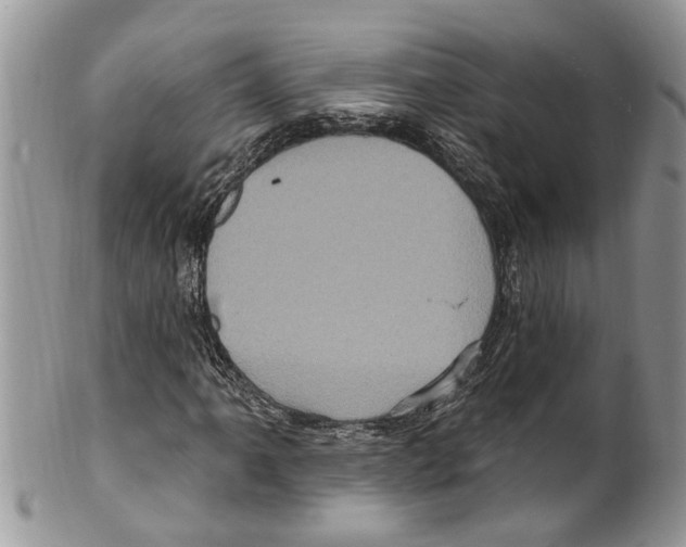 X0000099581061200806131313