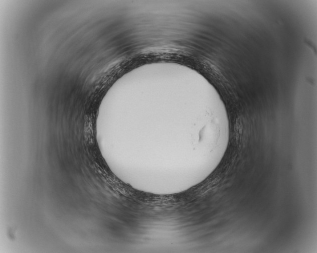 X0000099581062200806131313