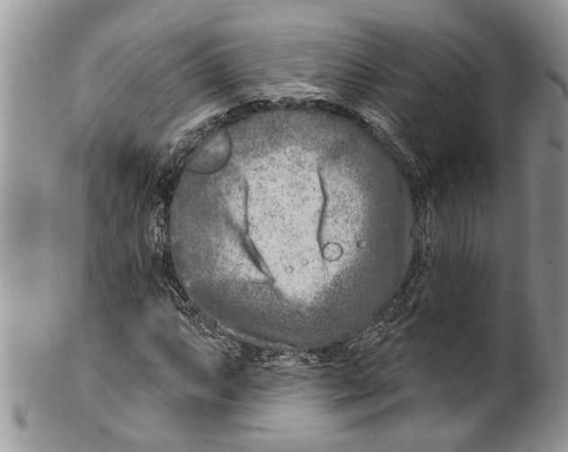 X0000099581063200806131313