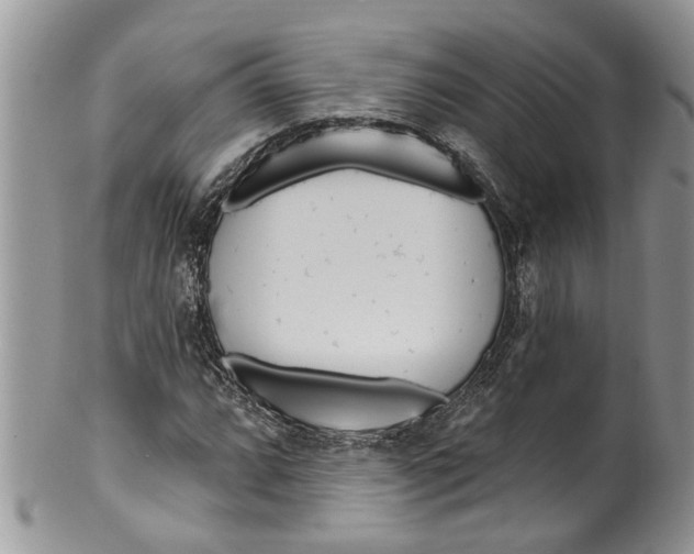 X0000099581064200806131313