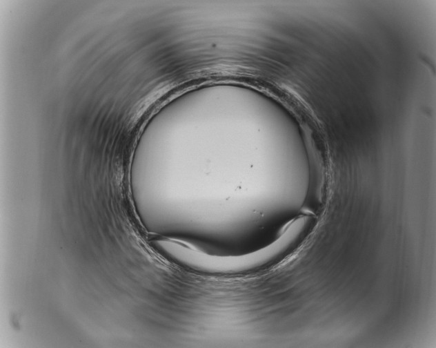 X0000099581065200806131313